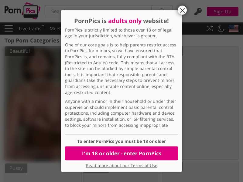 pornpics.com last screenshot